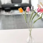 3 In 1 Location 公寓 布拉格